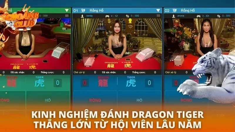 Bật mí bí kíp đánh Rồng Hổ không thua từ dân chuyên