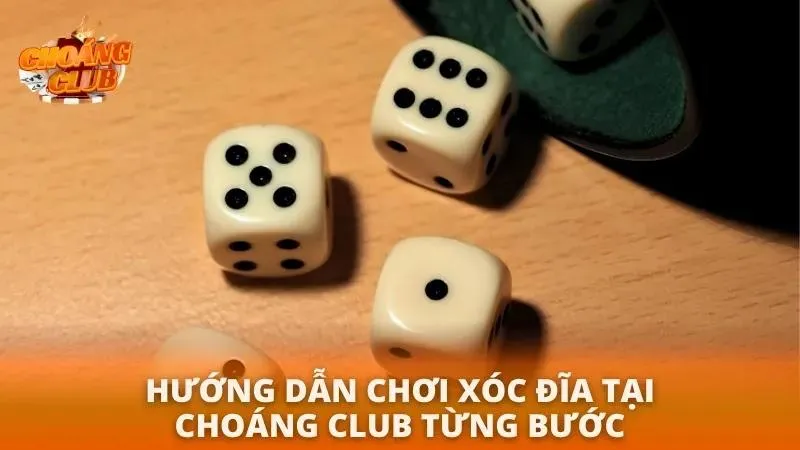 Lịch sử phiên gần nhất hiển thị cạnh bàn cược